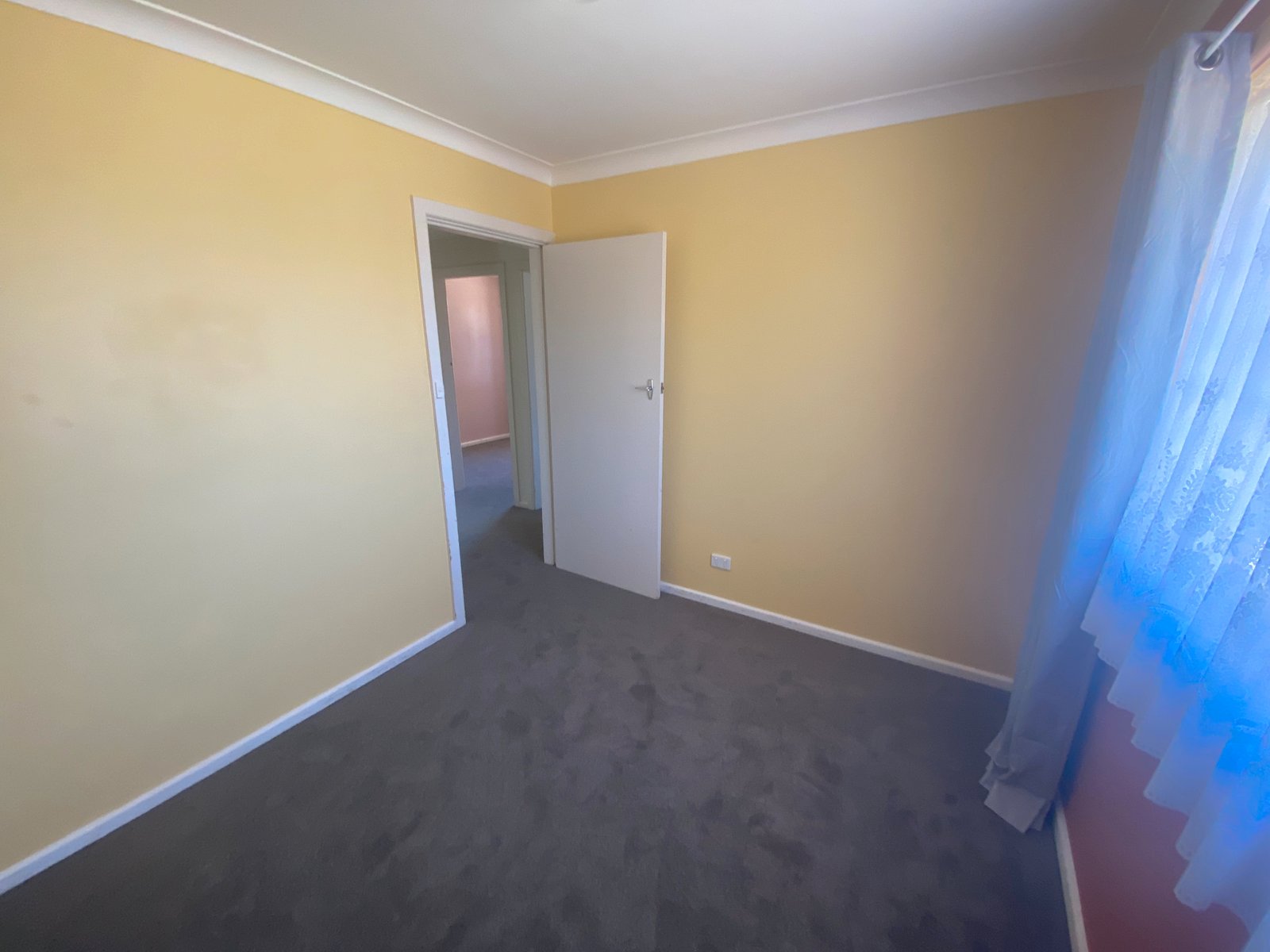 19 Terry Street TAMWORTH 3