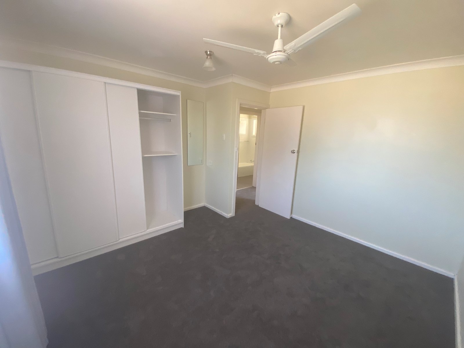 19 Terry Street TAMWORTH 4