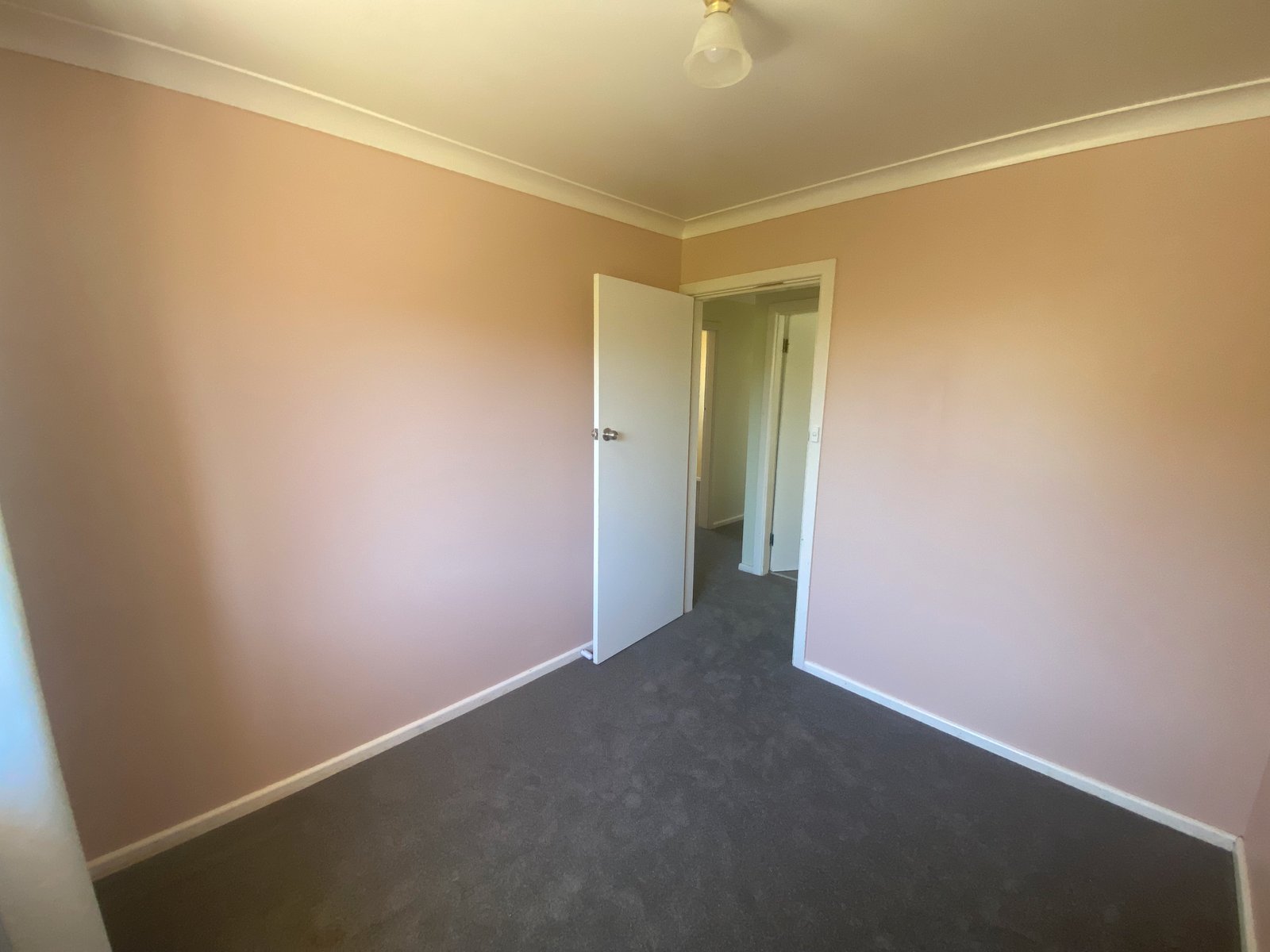 19 Terry Street TAMWORTH 5