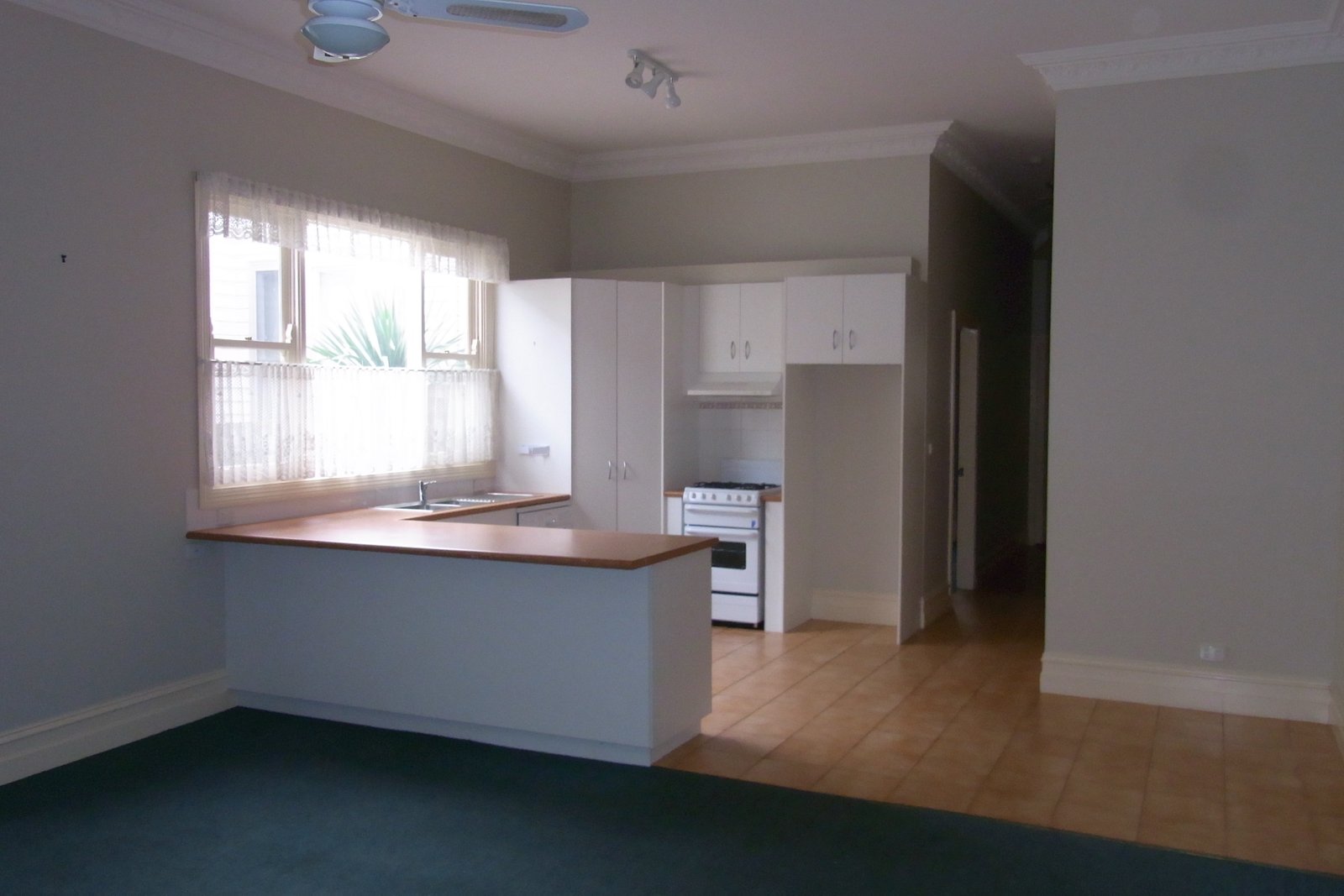 Gallery: 1/9 Thorne Street