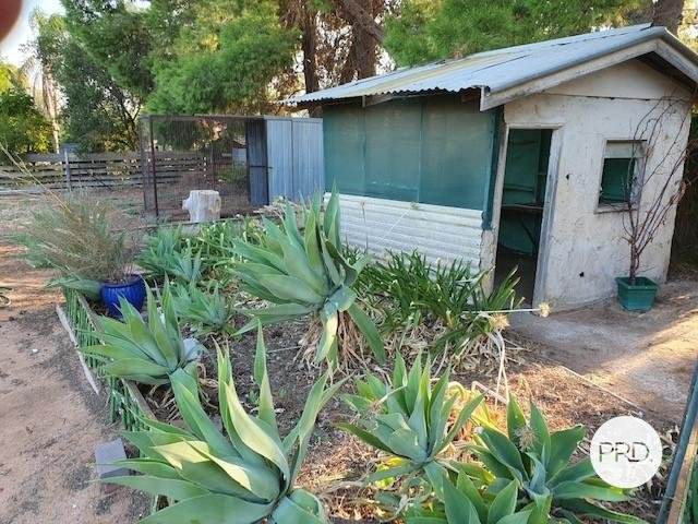 19 Thorne Street OUYEN 9