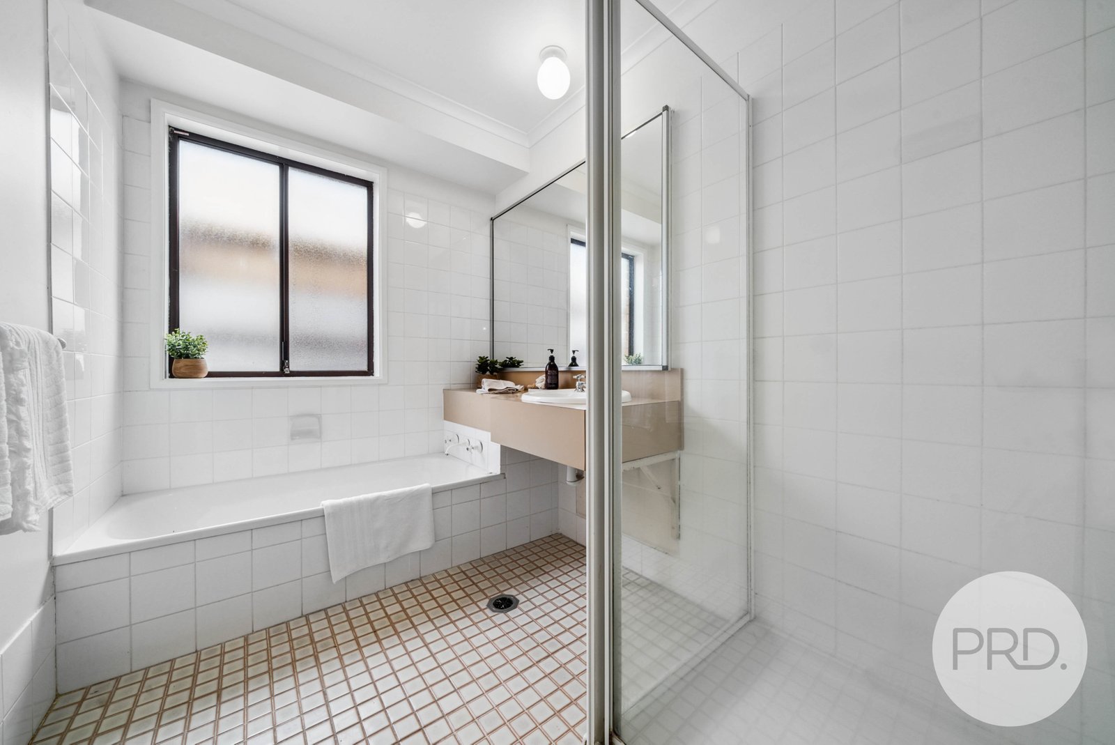 19 Truscott Drive ASHMONT 12