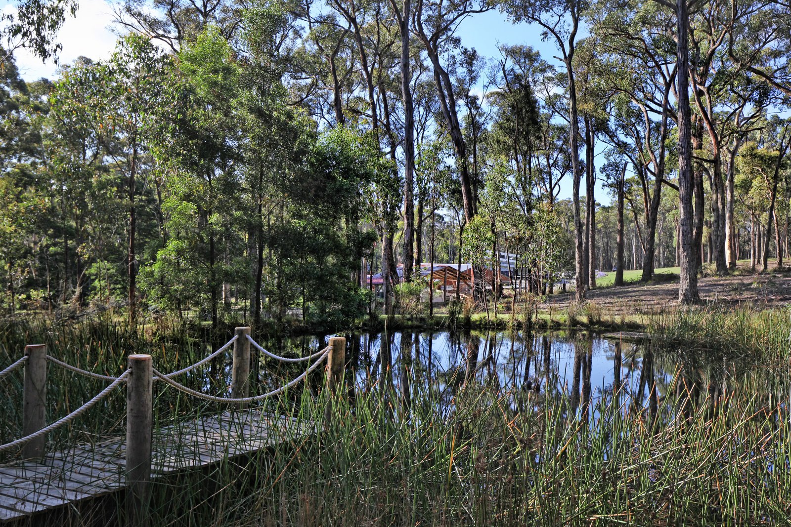 Real Estate and Property in 191 Fitzgerald Road, Bullengarook, VIC