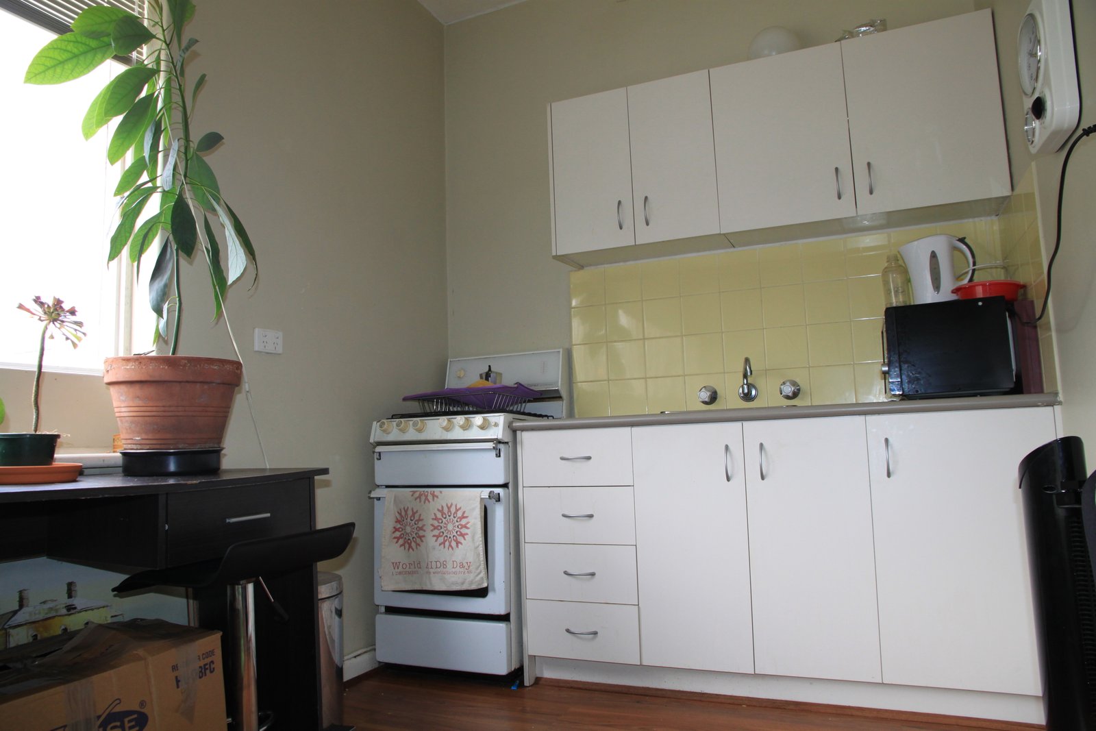 Gallery: 19/116 Inkerman Street