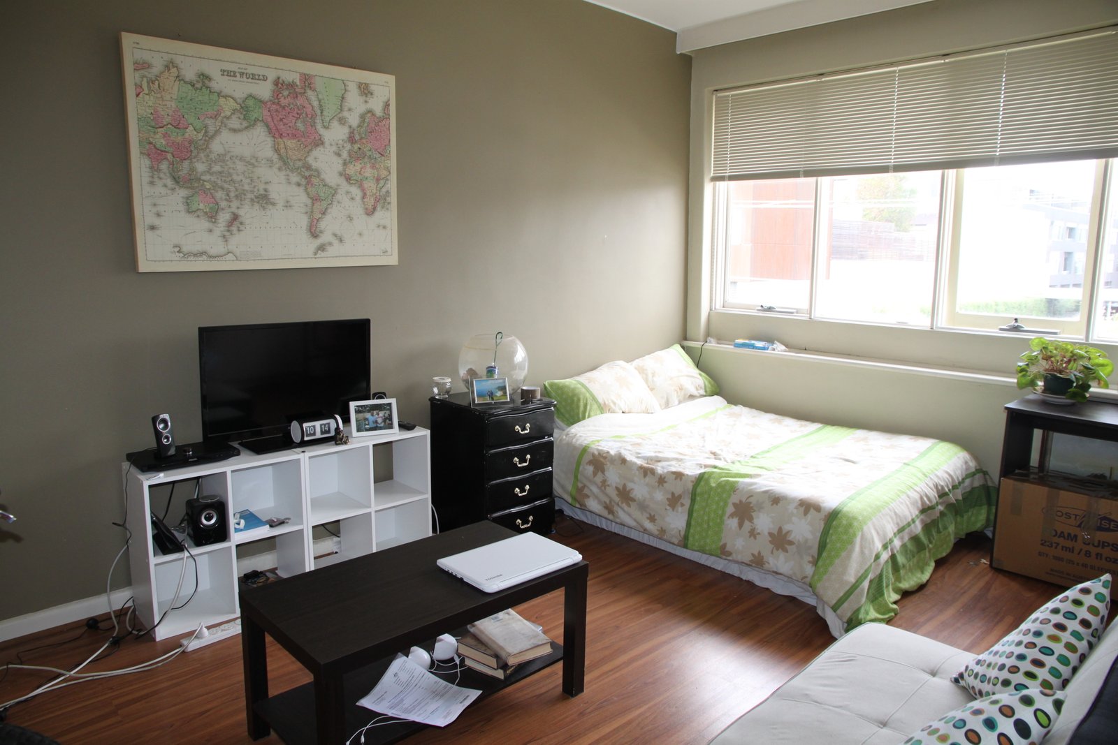 Gallery: 19/116 Inkerman Street