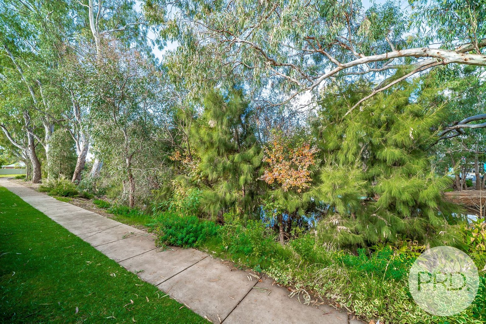 19/185 Forsyth Street WAGGA WAGGA 7