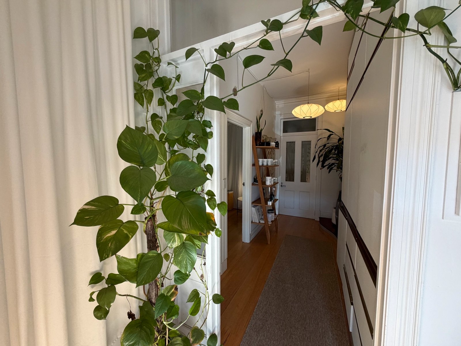 Gallery: 191C Park Street