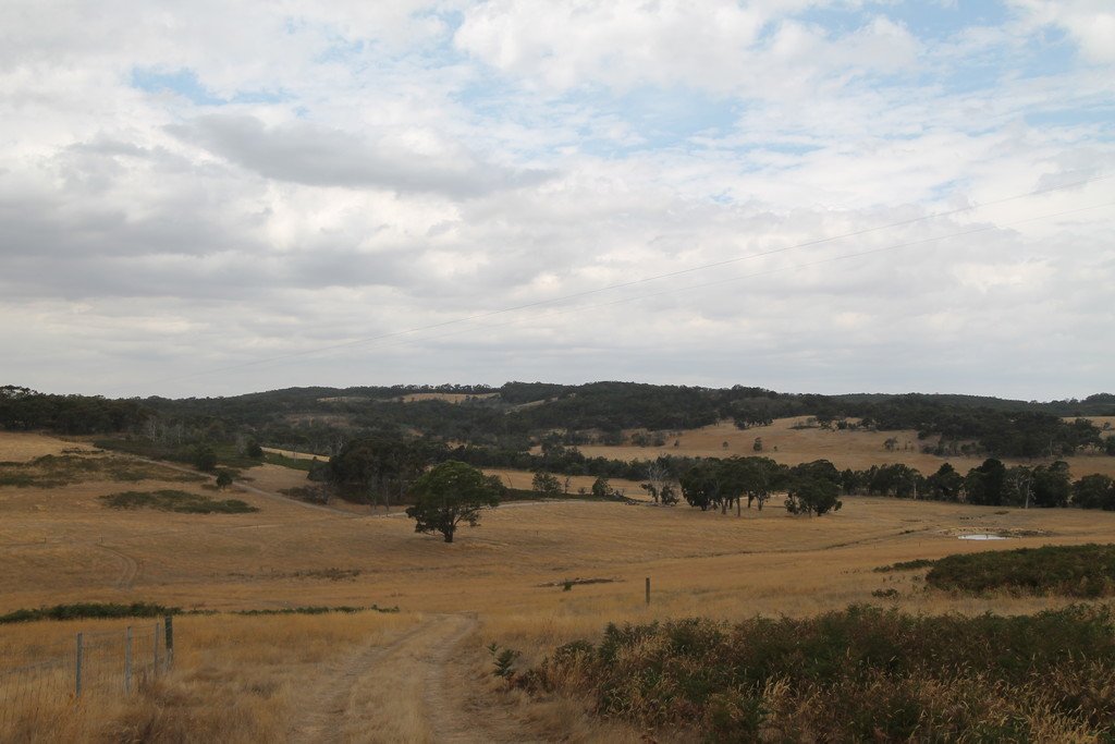 193 Amphitheatre Road RAGLAN 1