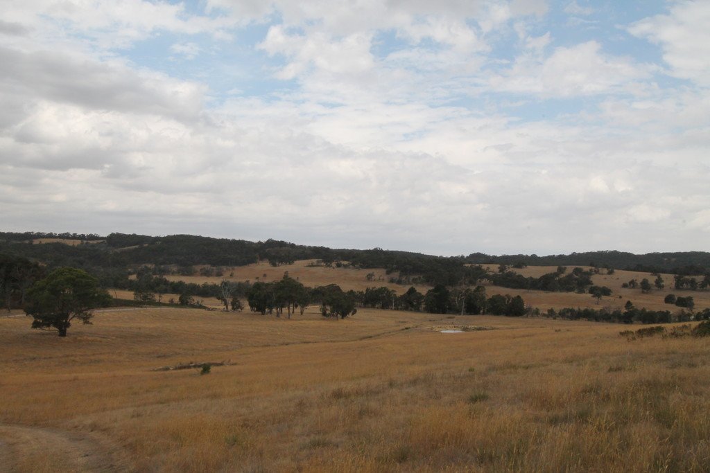 193 Amphitheatre Road RAGLAN 2