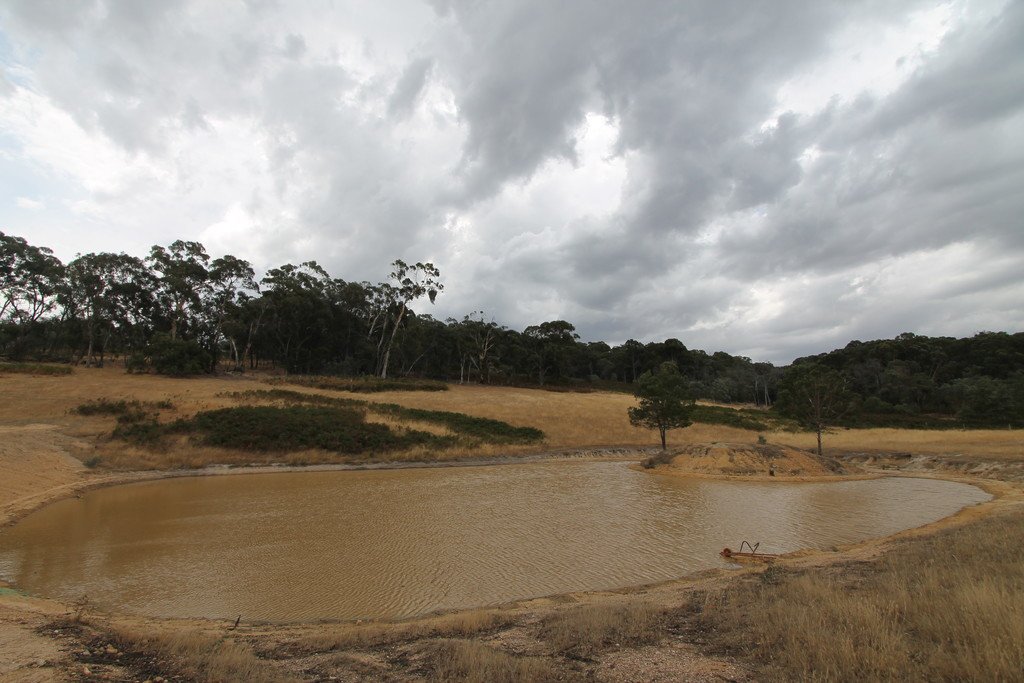 193 Amphitheatre Road RAGLAN 3