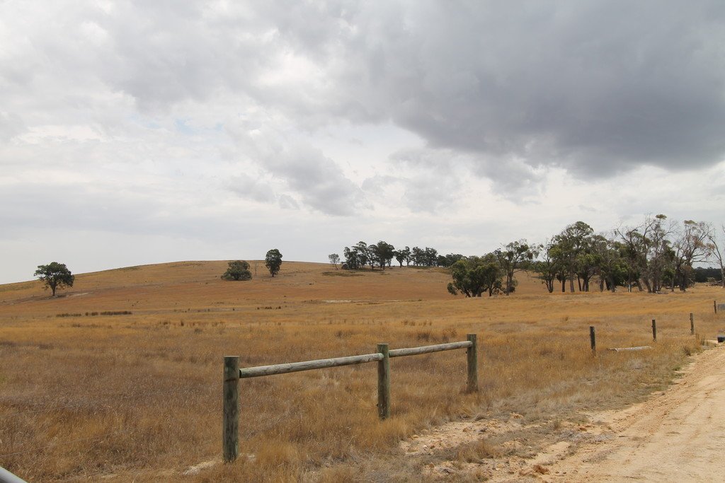 193 Amphitheatre Road RAGLAN 7