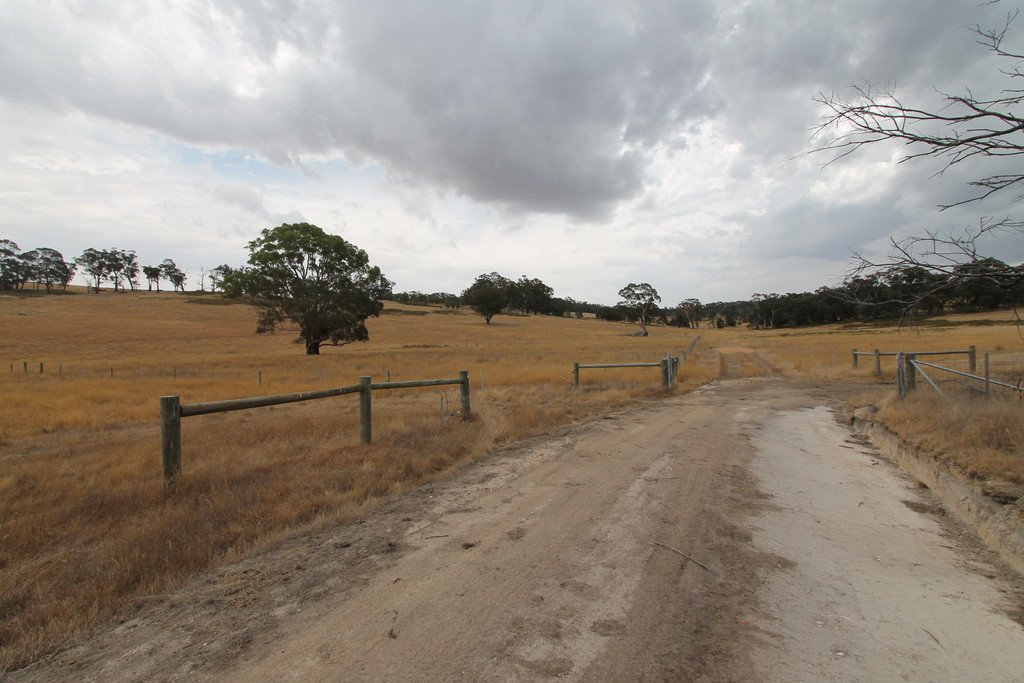 193 Amphitheatre Road RAGLAN 8