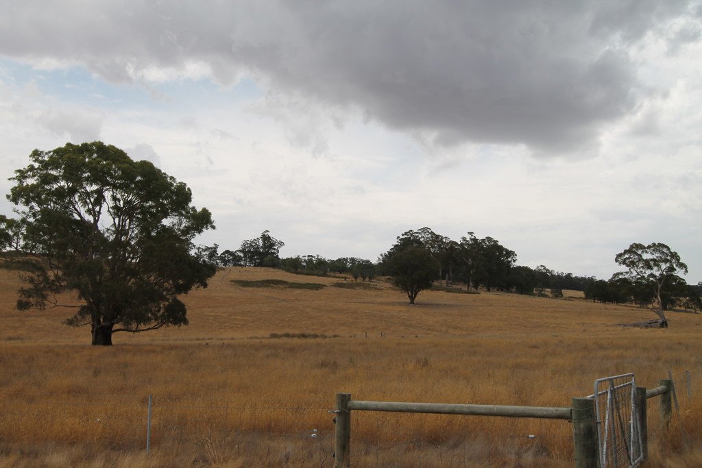 193 Amphitheatre Road RAGLAN 9