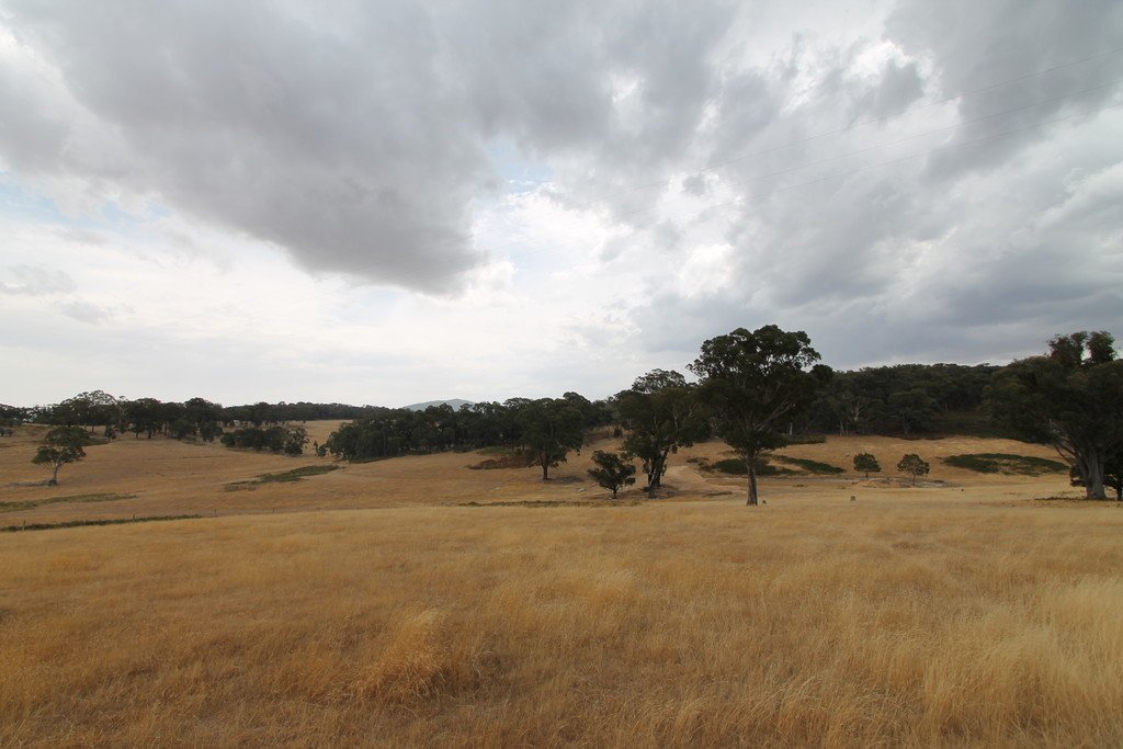 193 Amphitheatre Road RAGLAN 10