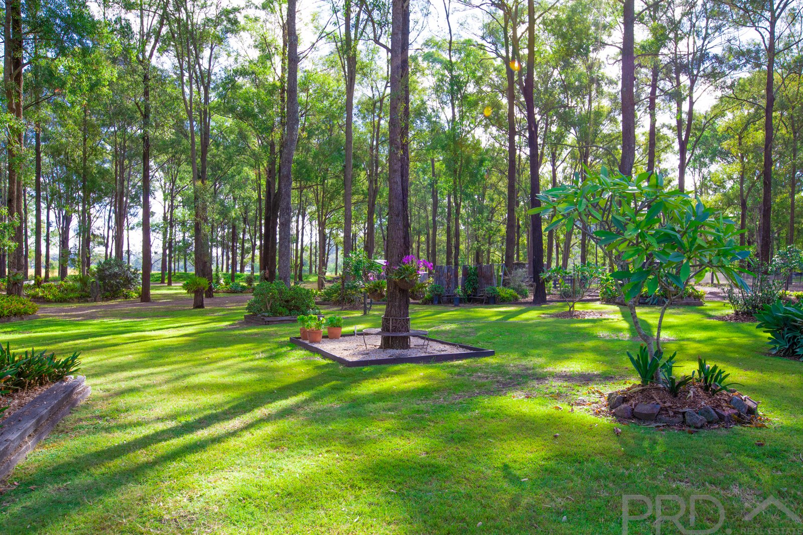 193 Duns Creek Road DUNS CREEK 22