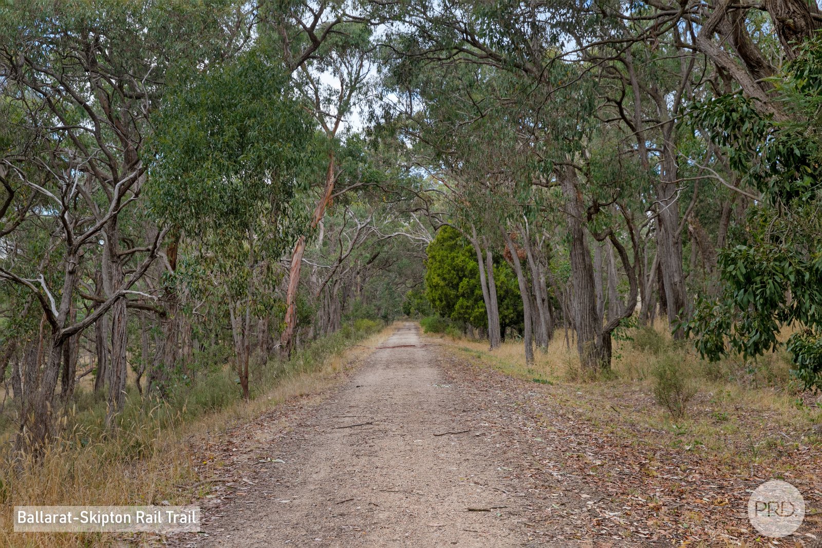 194 Flagstaff Ridge Road LINTON 17