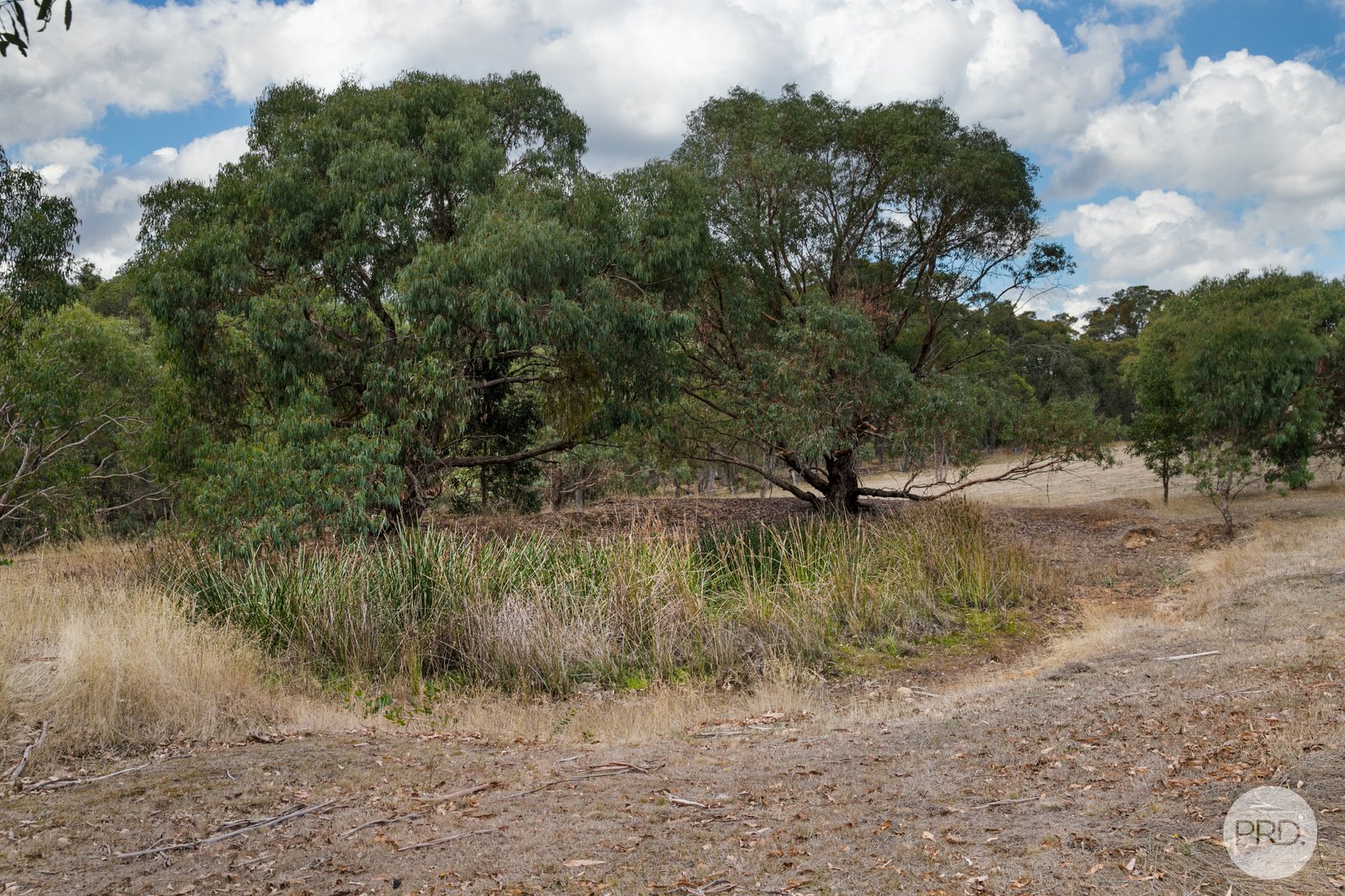 194 Flagstaff Ridge Road LINTON 18