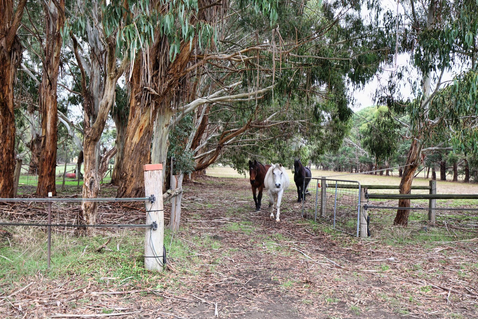 Real Estate and Property in 194 Northumberland Road, Kyneton, VIC