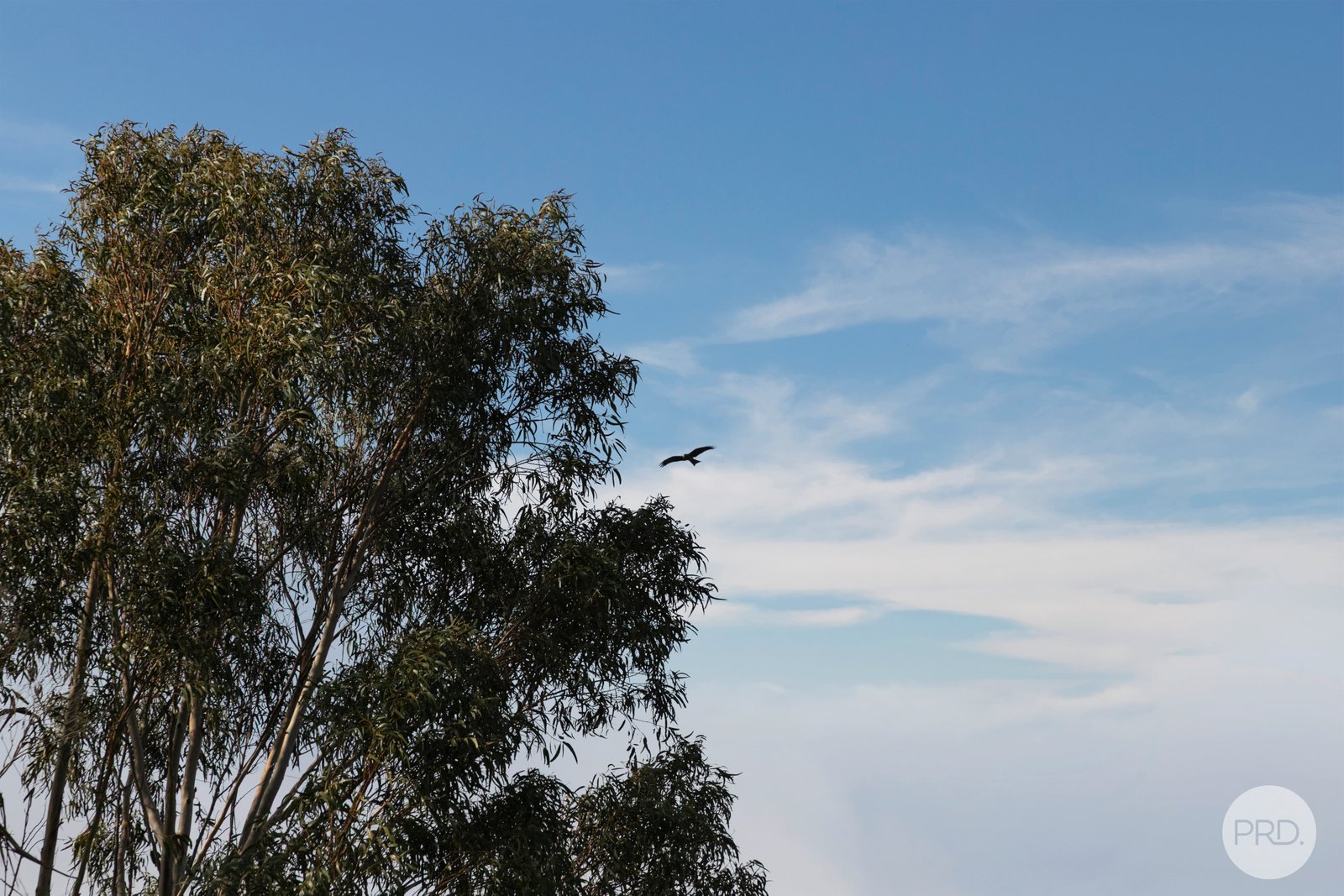 195 Four Star Road CRESWICK 16