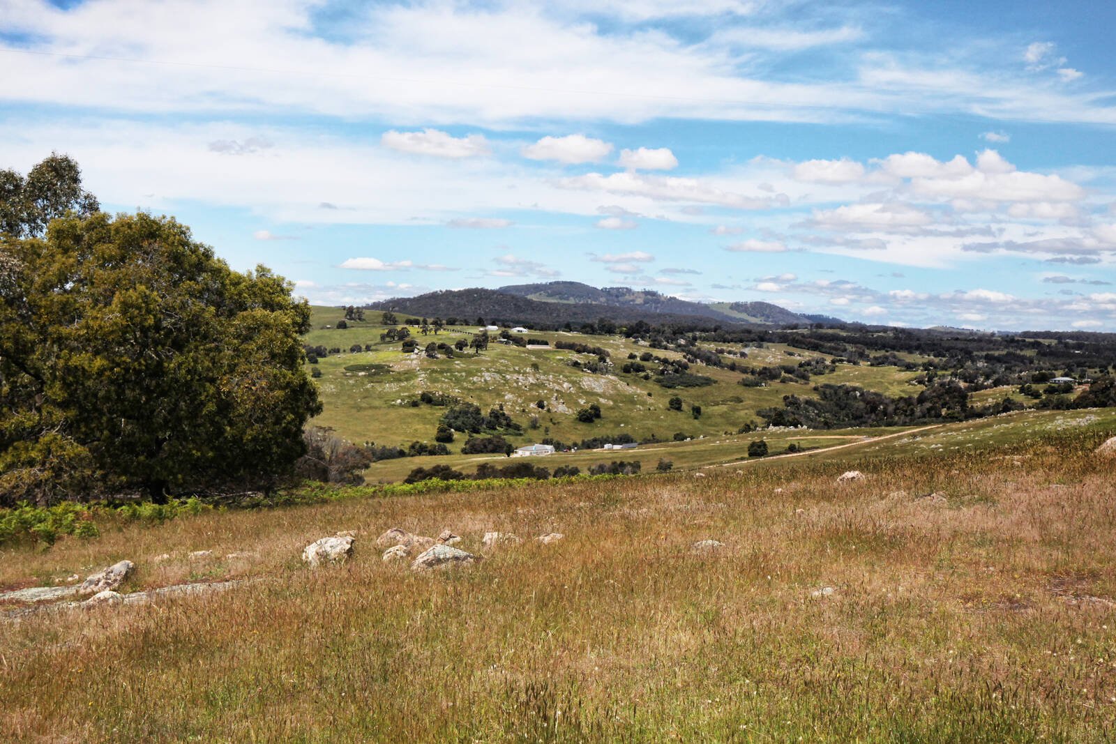 Real Estate and Property in 195 Malones Road, Nulla Vale, VIC