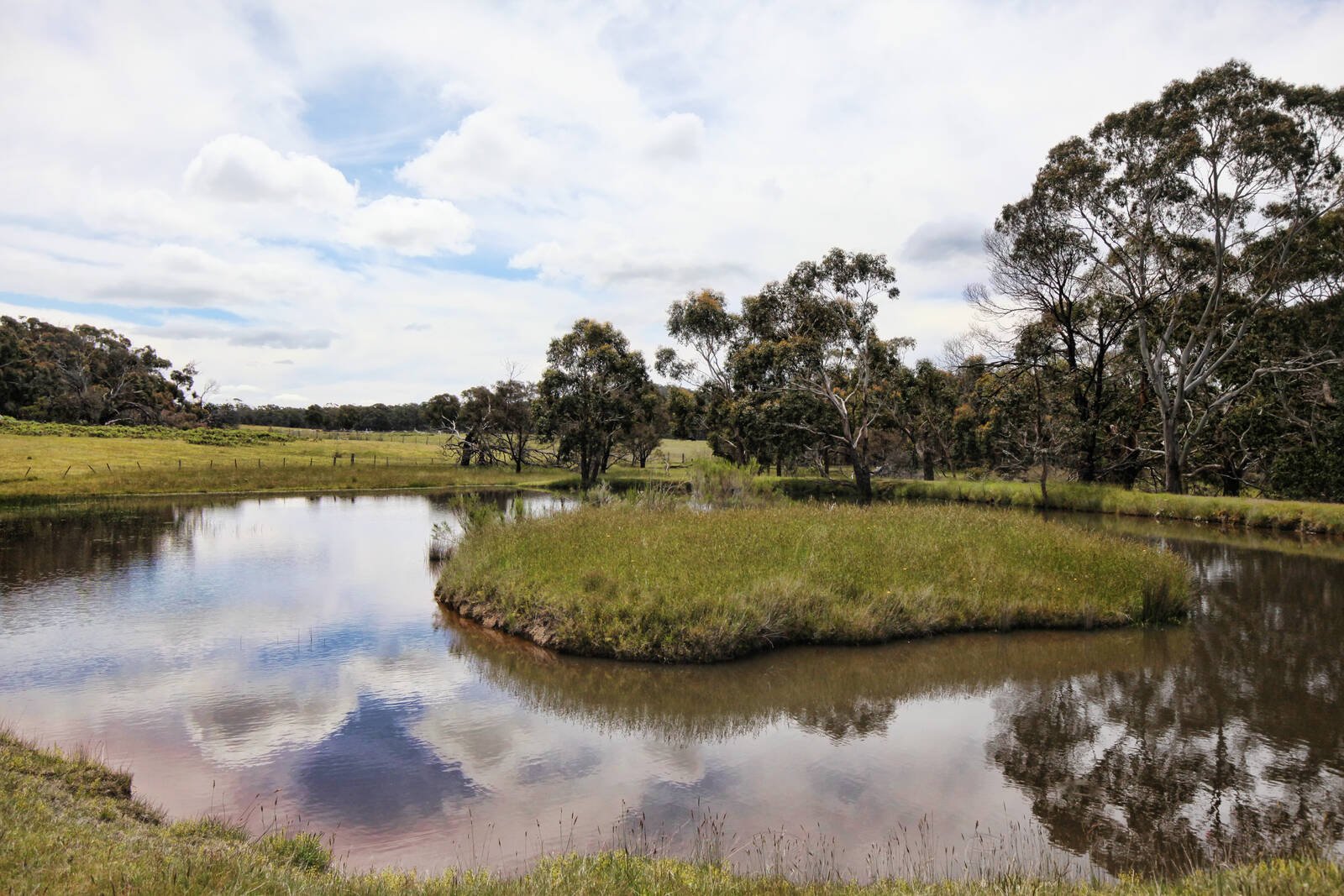 Real Estate and Property in 195 Malones Road, Nulla Vale, VIC