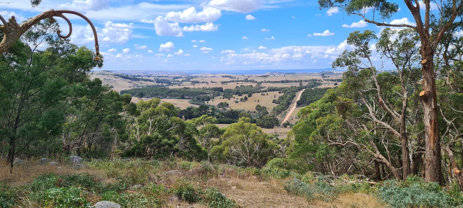 Real Estate and Property in 195 Malones Road, Nulla Vale, VIC