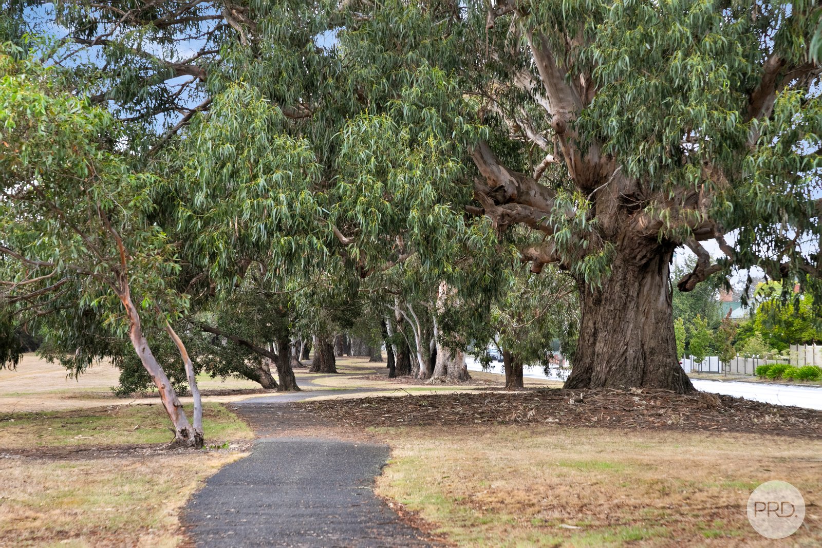 195 Scott Parade BALLARAT EAST 13
