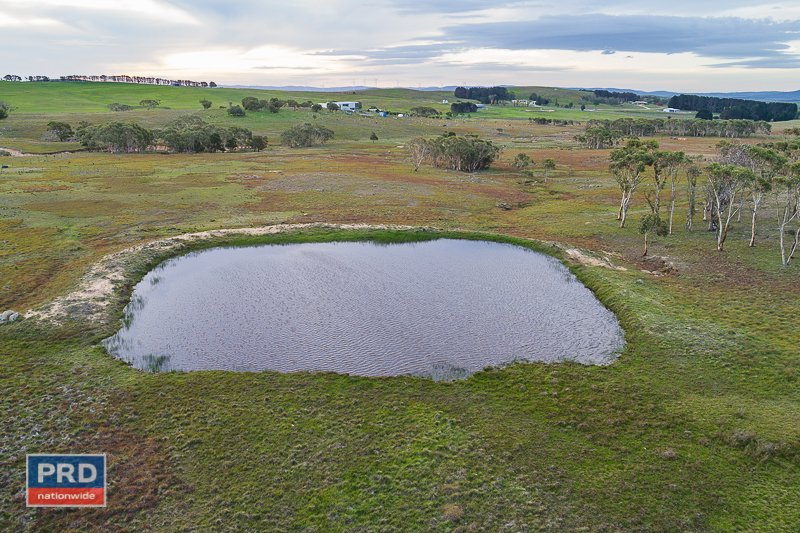 195 Taylors Creek Road TARAGO 2