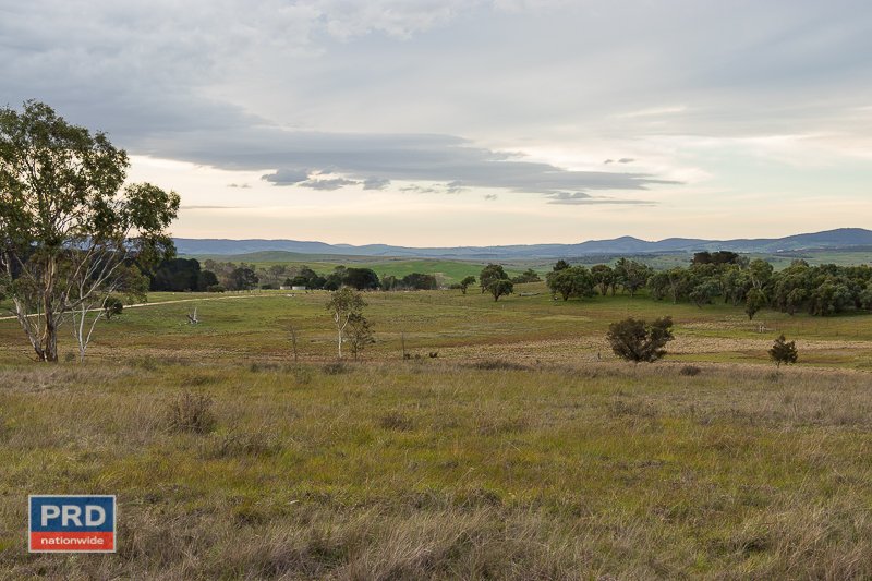 195 Taylors Creek Road TARAGO 3