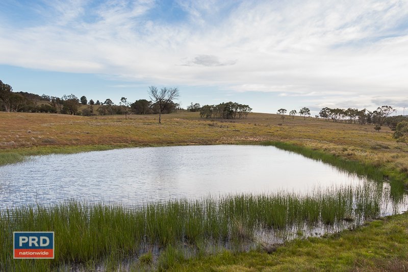 195 Taylors Creek Road TARAGO 8