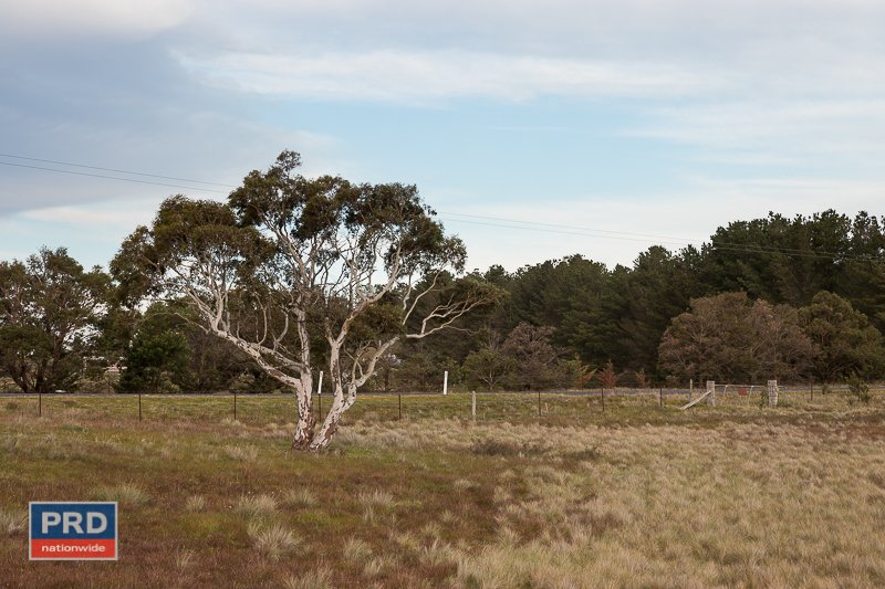 195 Taylors Creek Road TARAGO 9