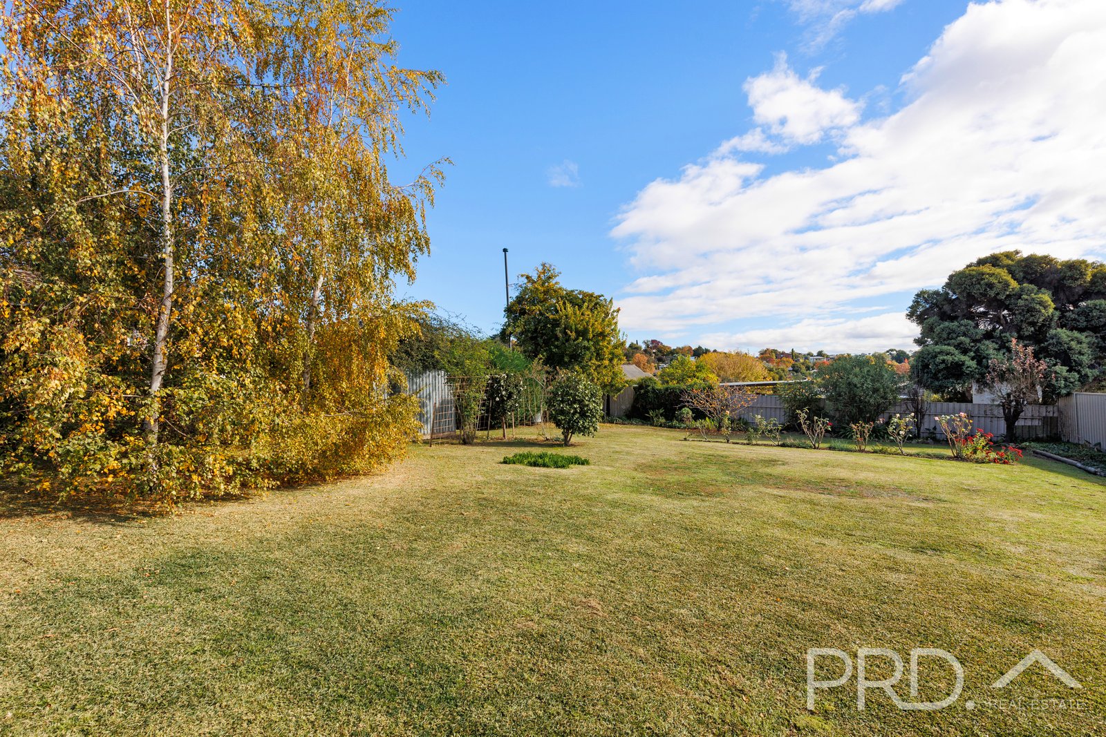 195 Wynyard Street TUMUT 20