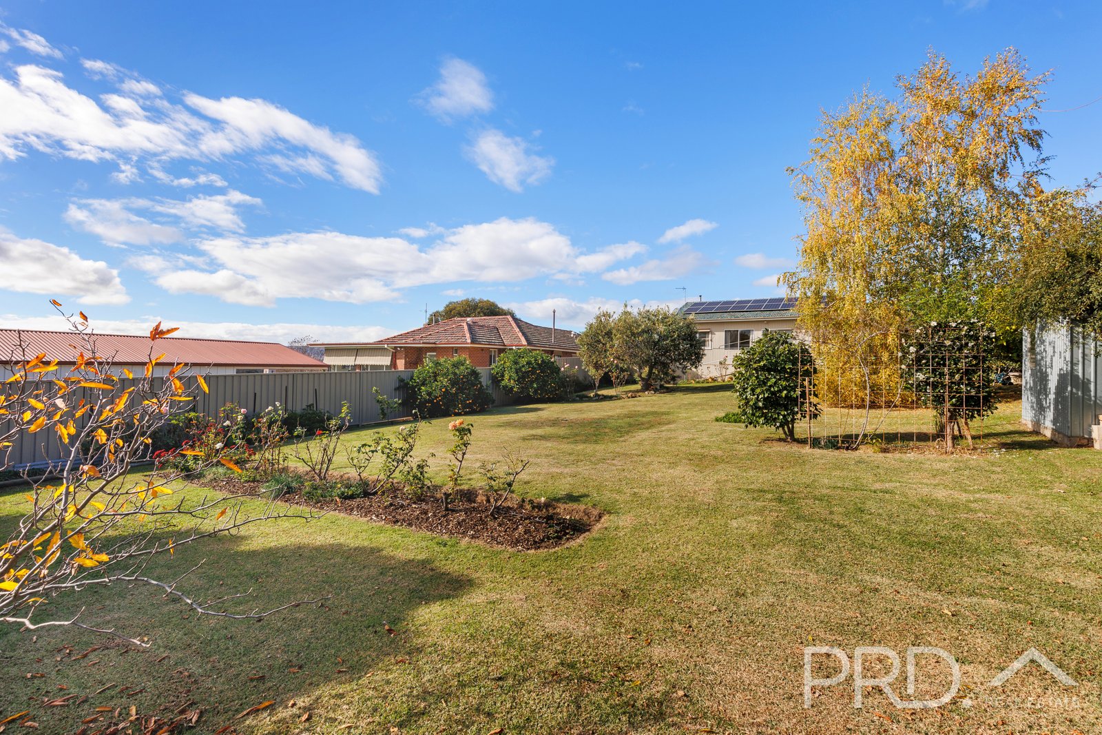 195 Wynyard Street TUMUT 21