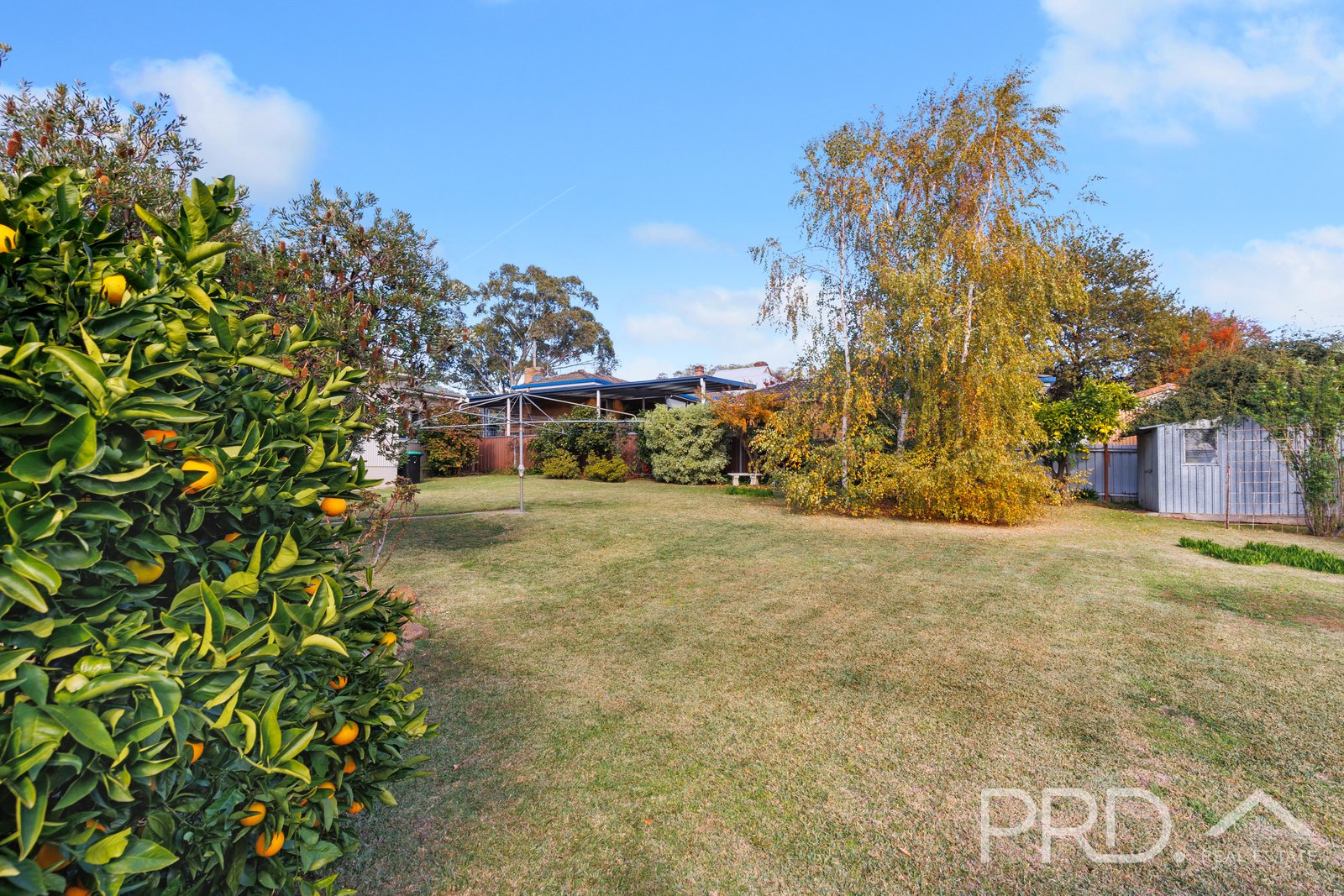 195 Wynyard Street TUMUT 22