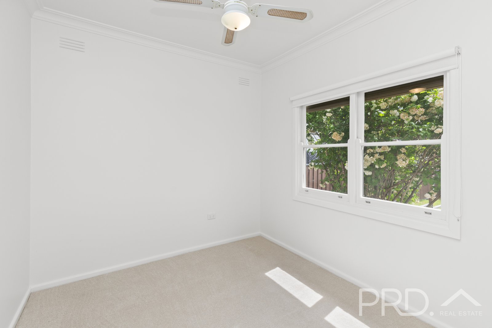 195 Wynyard Street TUMUT 15