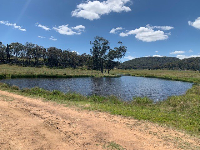 1950 Giants Creek Road SANDY HOLLOW 2