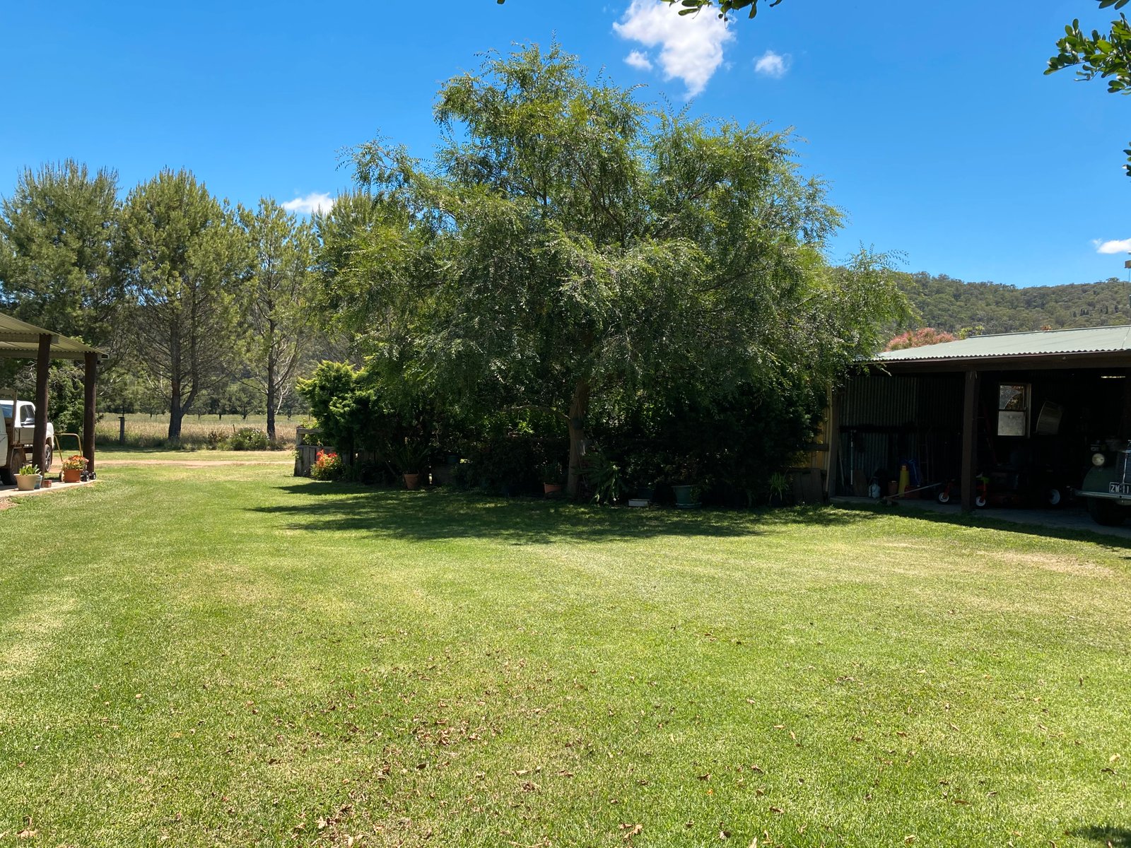 1950 Giants Creek Road SANDY HOLLOW 9