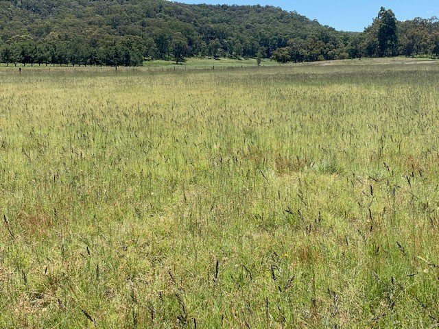 1950 Giants Creek Road SANDY HOLLOW 11