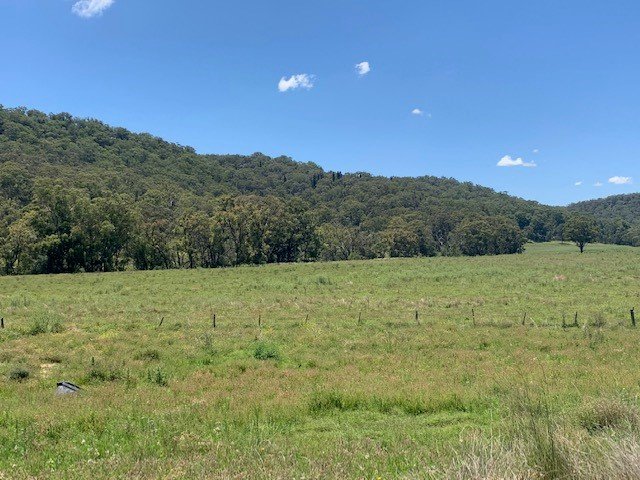 1950 Giants Creek Road SANDY HOLLOW 12