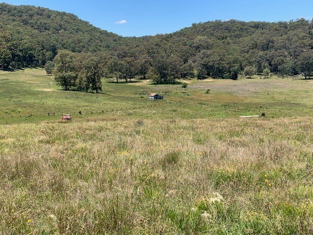 1950 Giants Creek Road SANDY HOLLOW 14