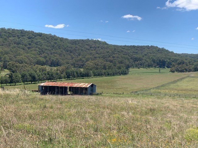 1950 Giants Creek Road SANDY HOLLOW 15