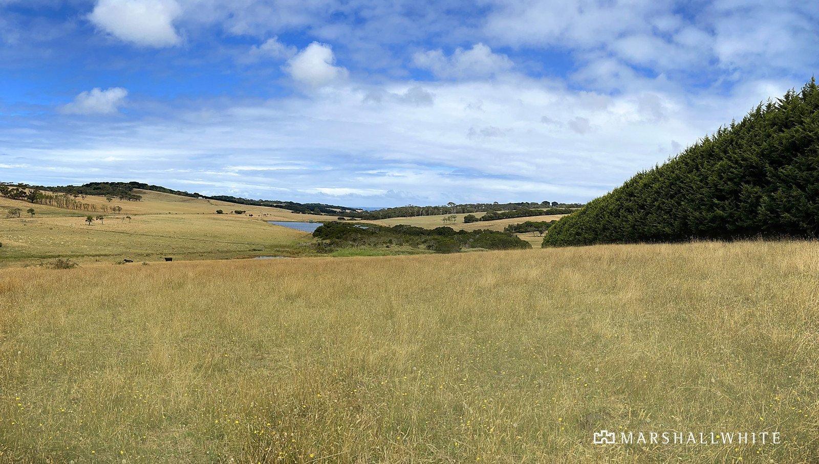 1950 Mornington Flinders Road, Flinders, VIC