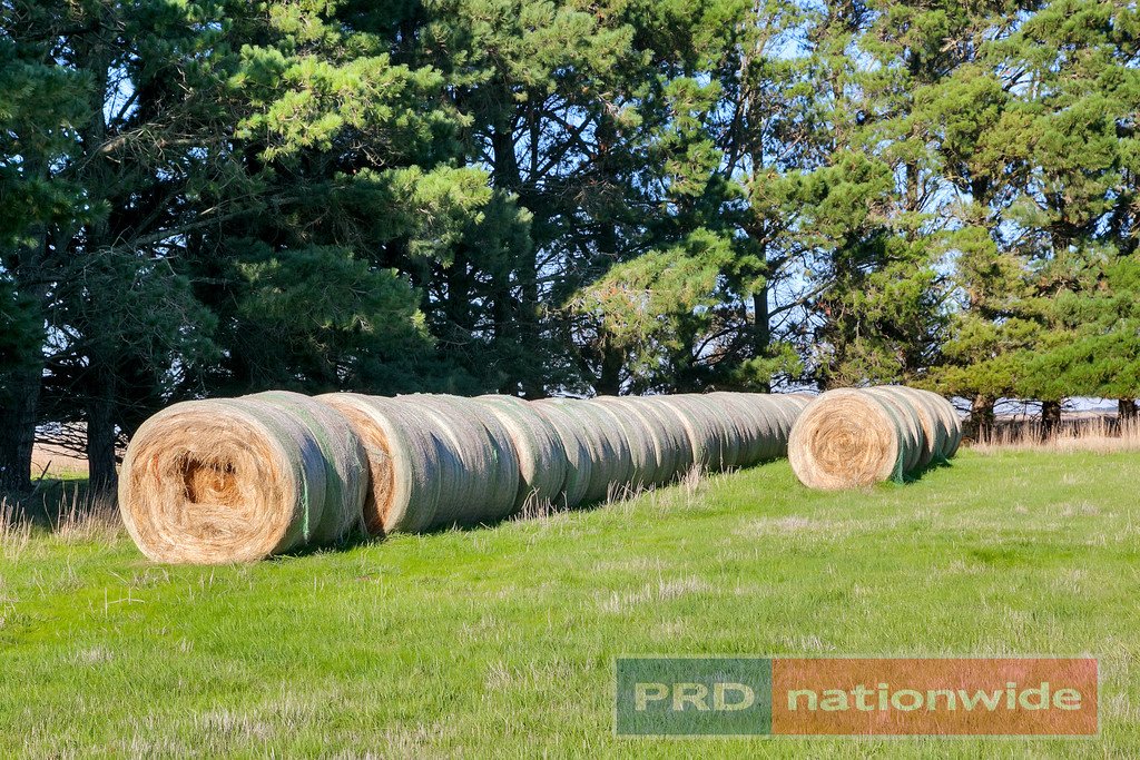 1956 Ballan - Meredith Road MOUNT WALLACE 15