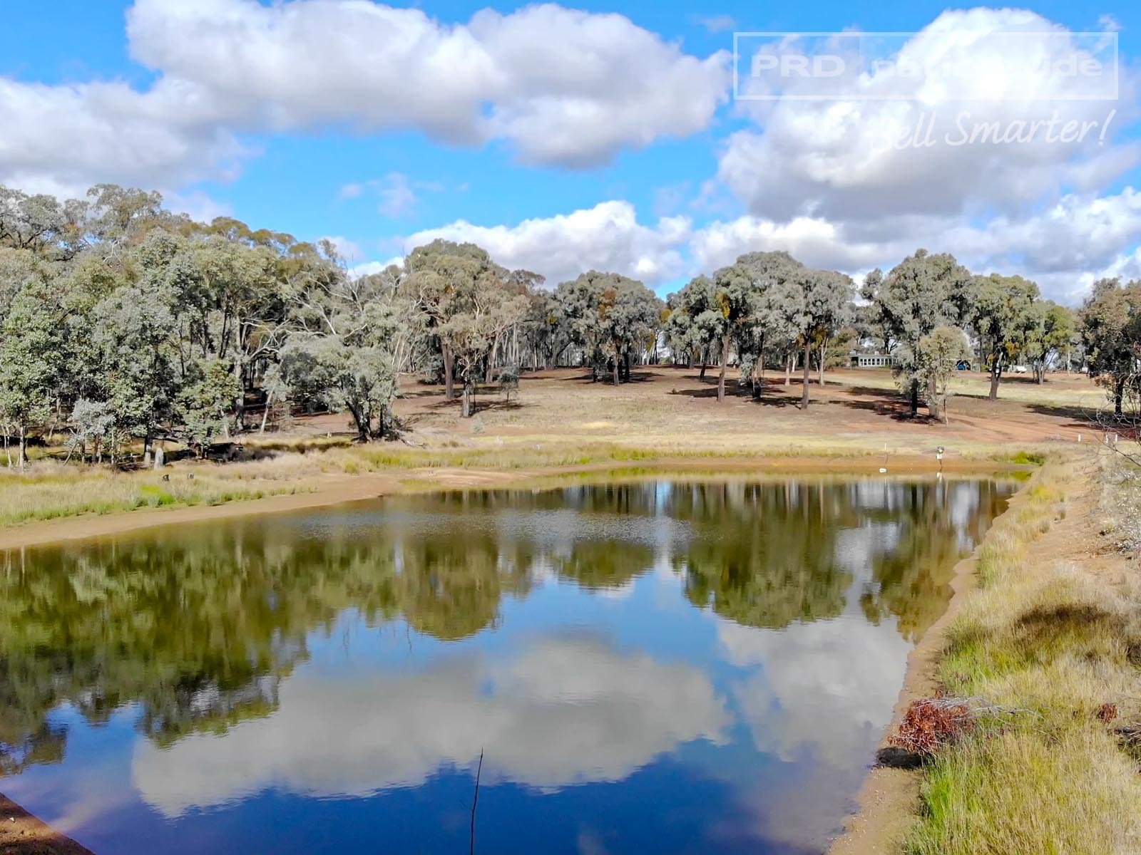 196 Barcoo Lane BIG SPRINGS 4