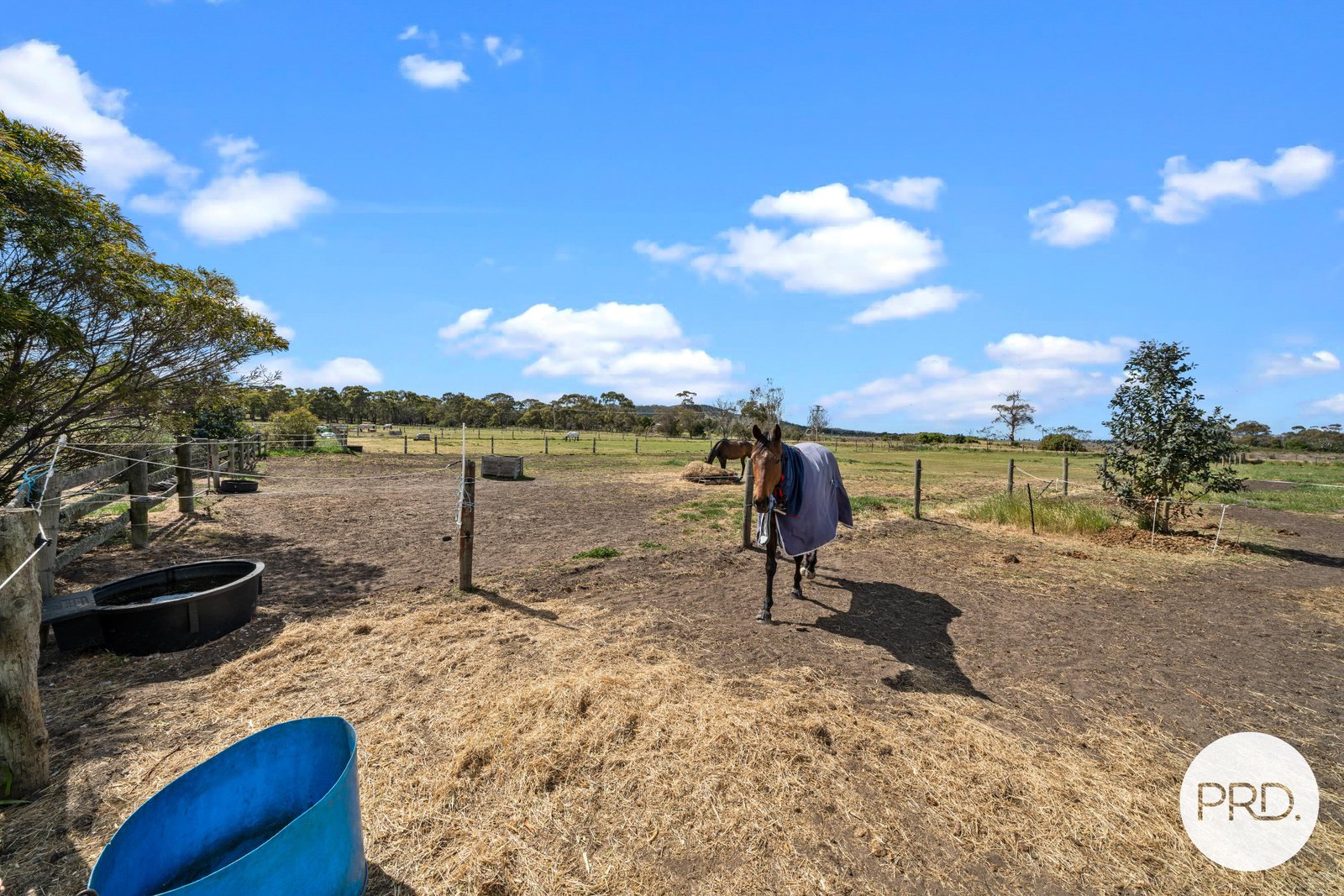 196 Forest Hill Road SANDFORD 6