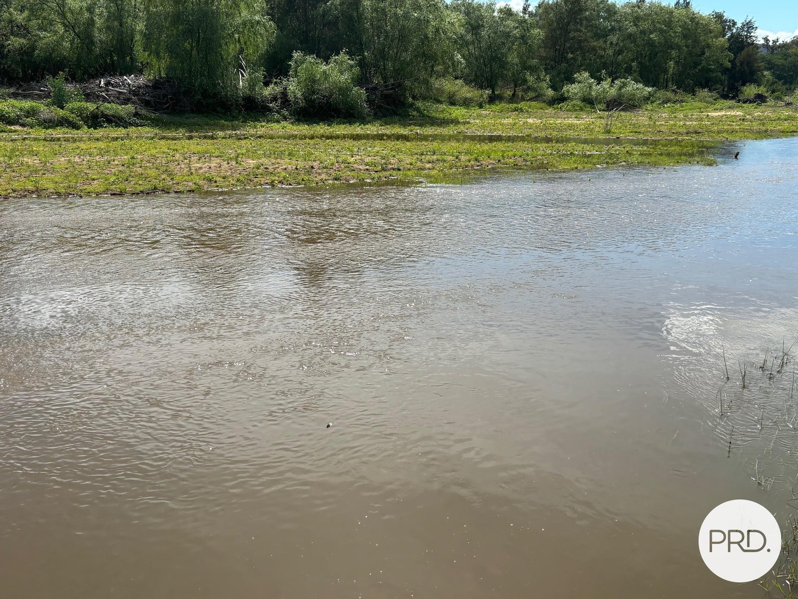 197 Mount Dangar Road, BAERAMI  DENMAN 3