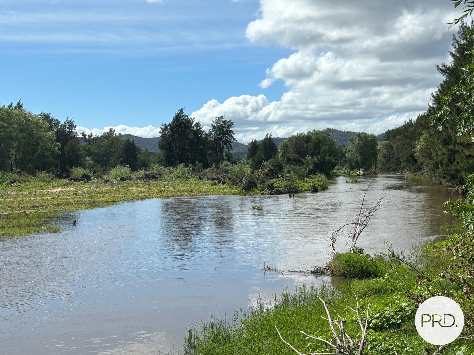 197 Mount Dangar Road, BAERAMI  DENMAN 4