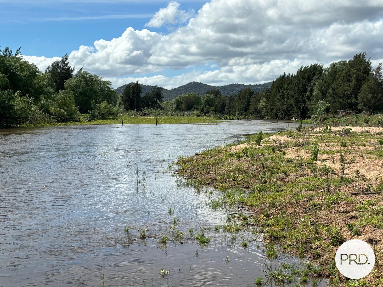 197 Mount Dangar Road, BAERAMI  DENMAN 6