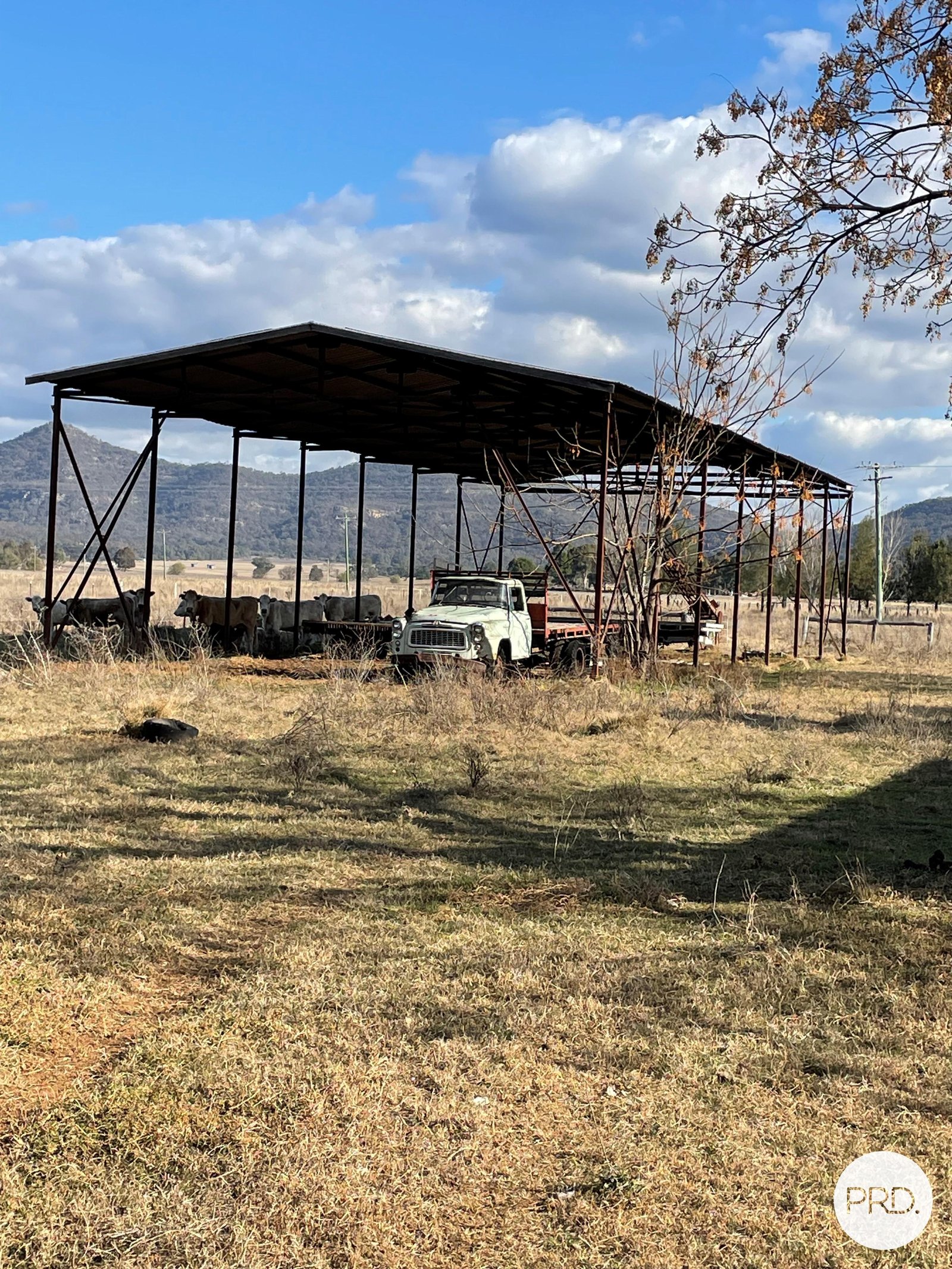 197 Mount Dangar Road, BAERAMI  DENMAN 11