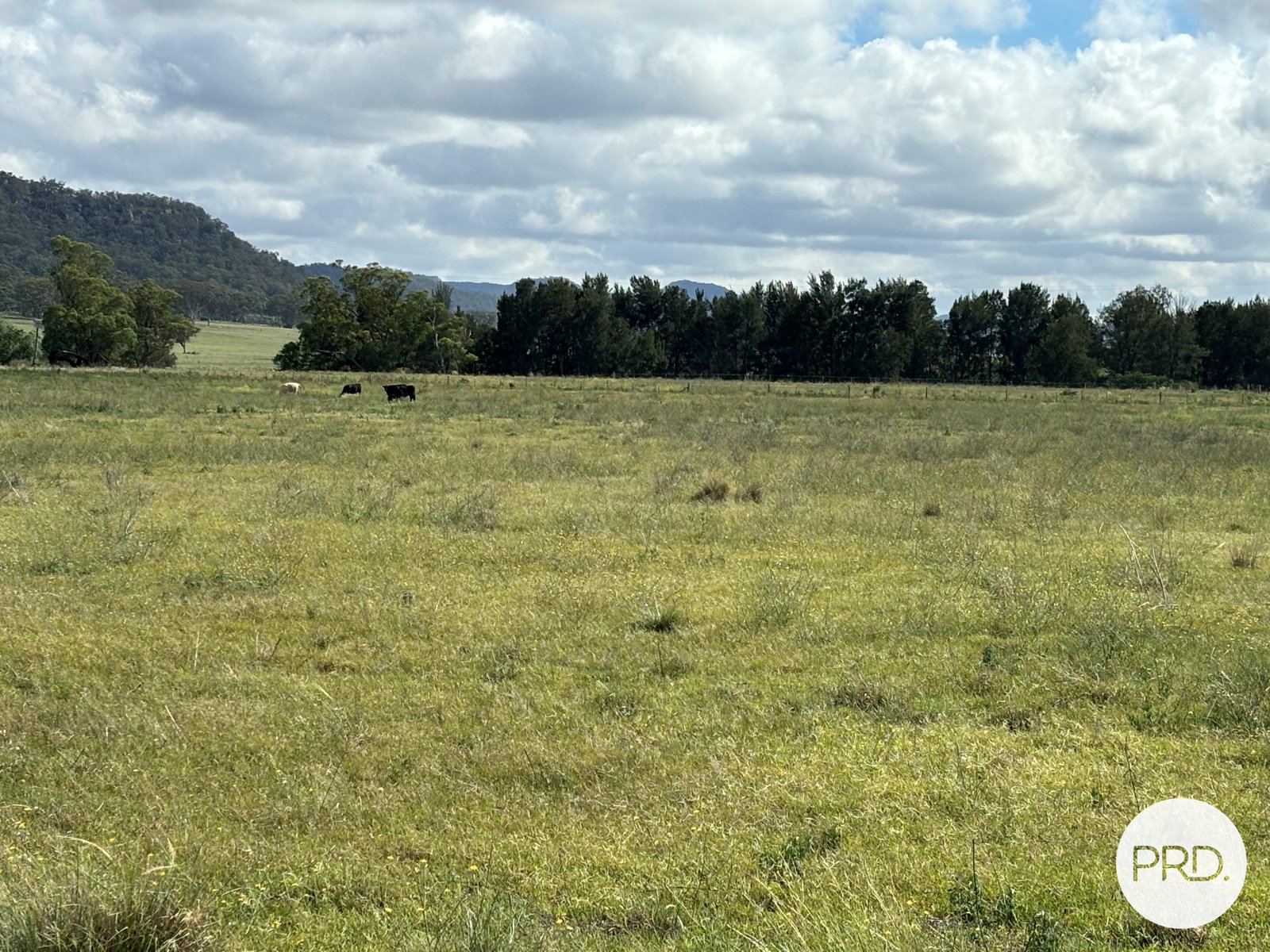 197 Mount Dangar Road, BAERAMI  DENMAN 12